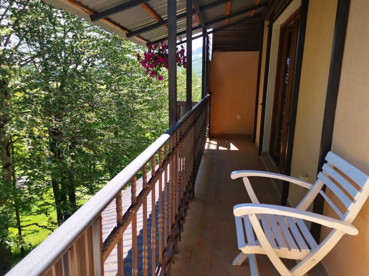 Gorska Vila Apartments Žabljak Buitenkant foto