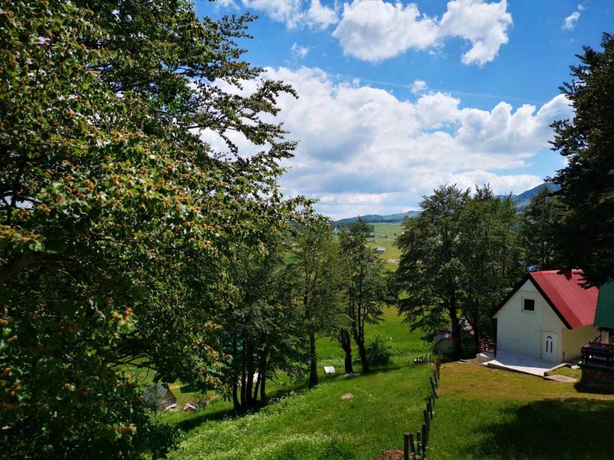 Gorska Vila Apartments Žabljak Buitenkant foto