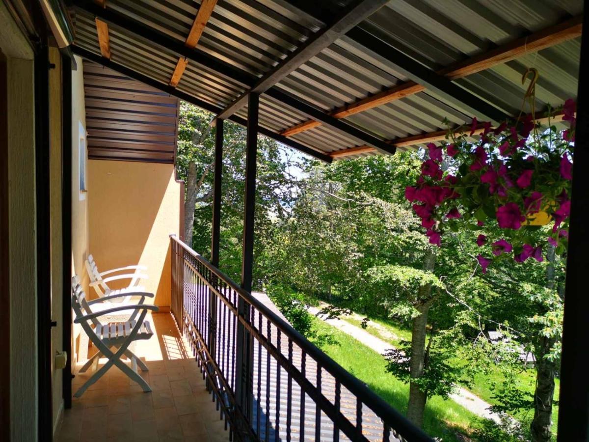 Gorska Vila Apartments Žabljak Buitenkant foto