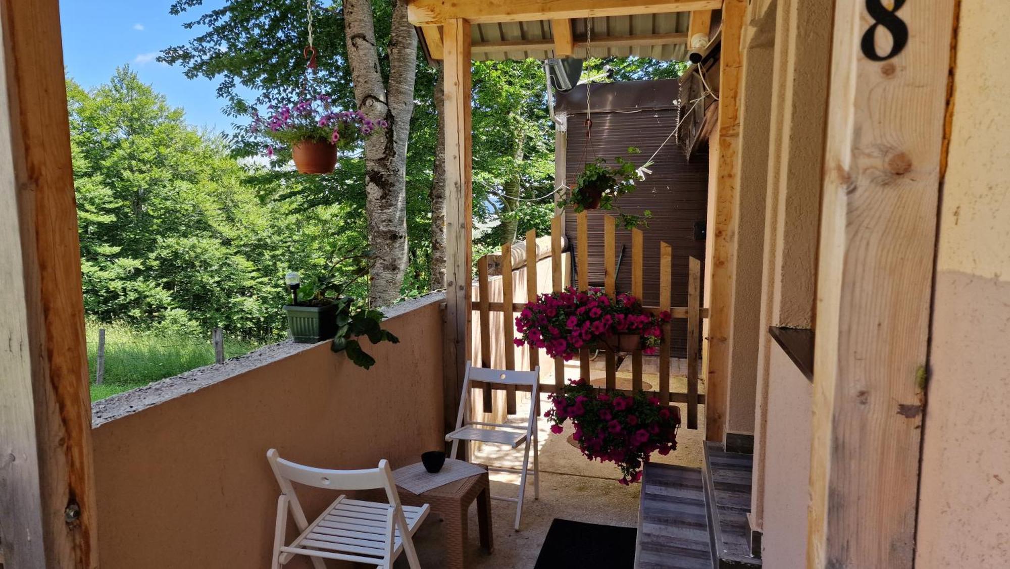 Gorska Vila Apartments Žabljak Buitenkant foto