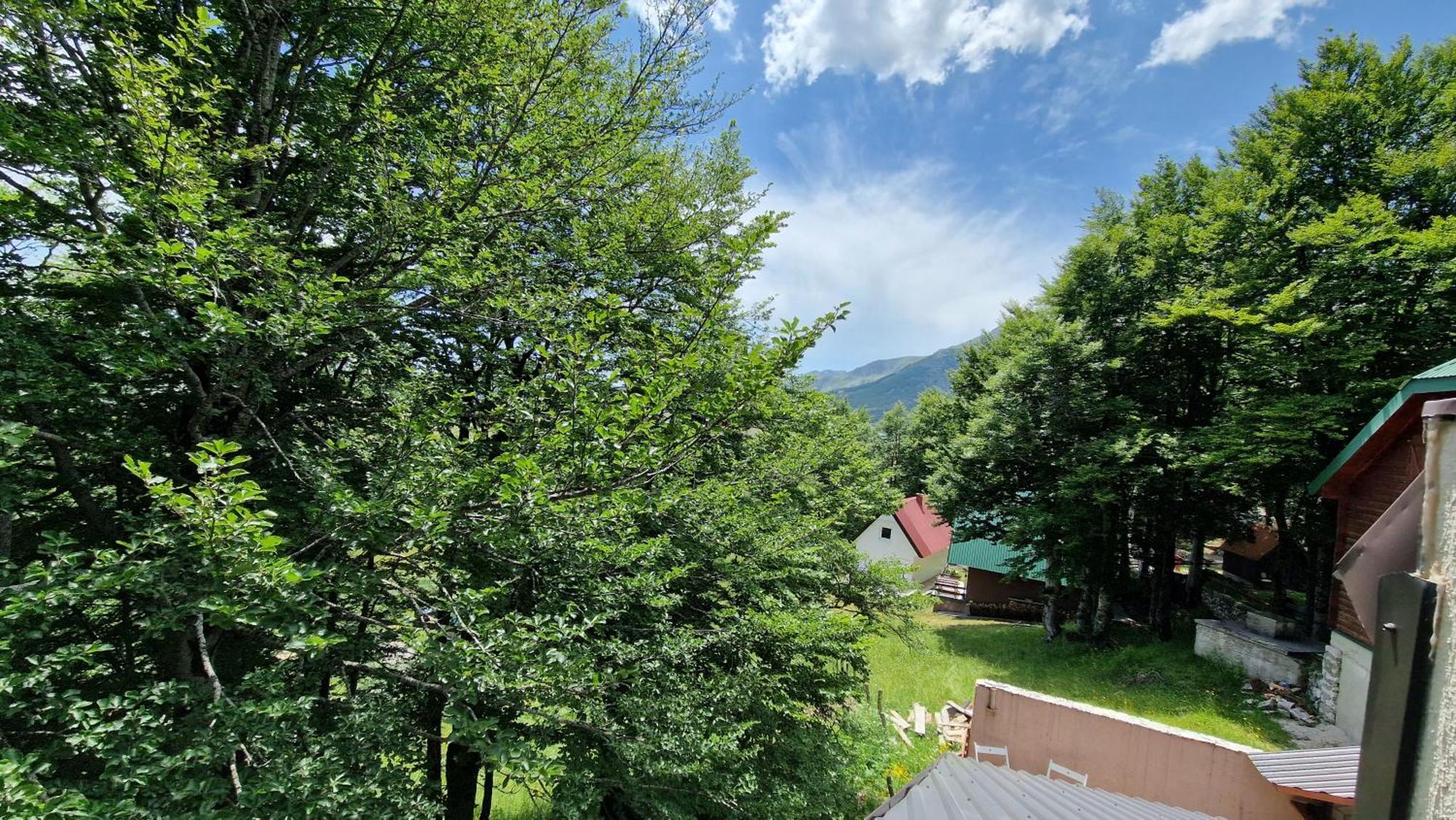 Gorska Vila Apartments Žabljak Kamer foto