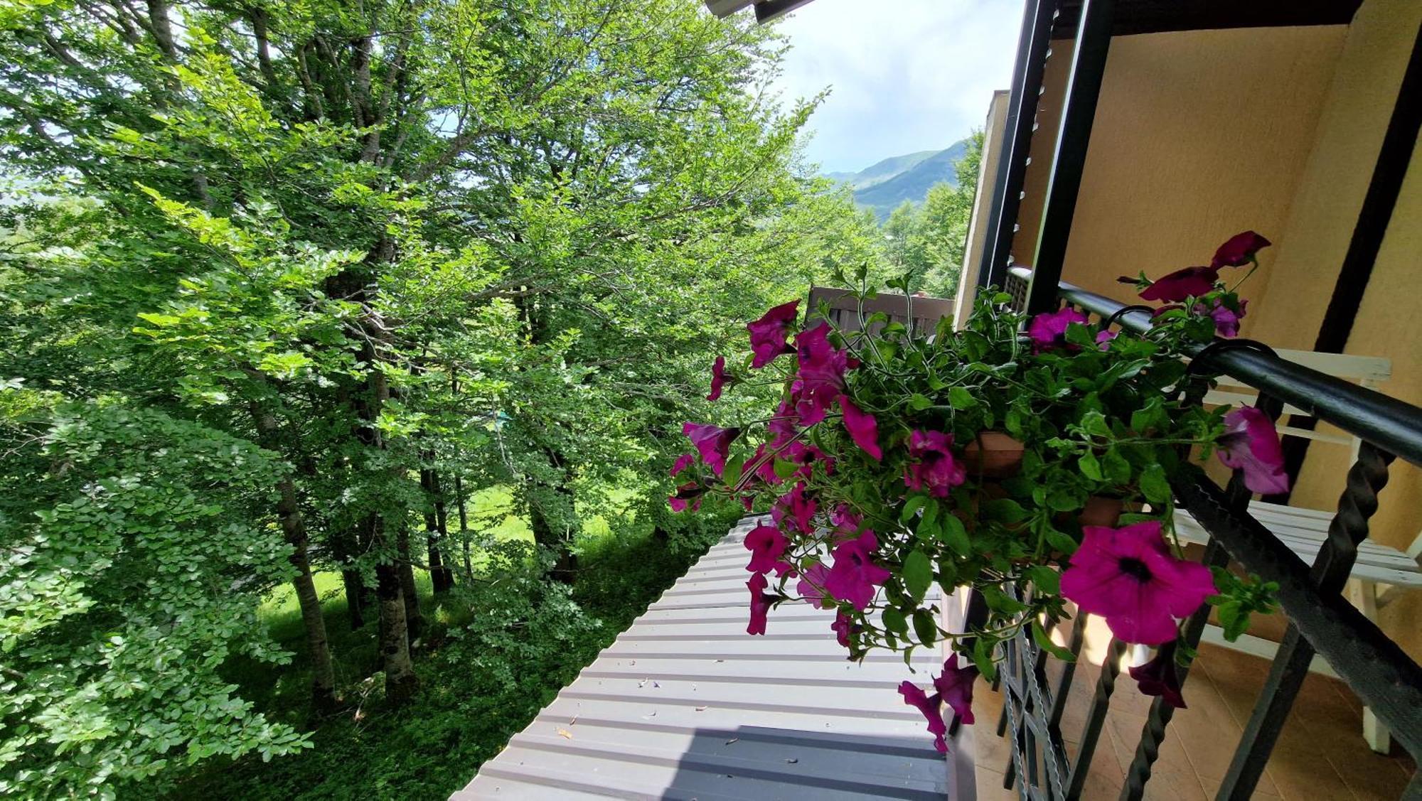 Gorska Vila Apartments Žabljak Kamer foto